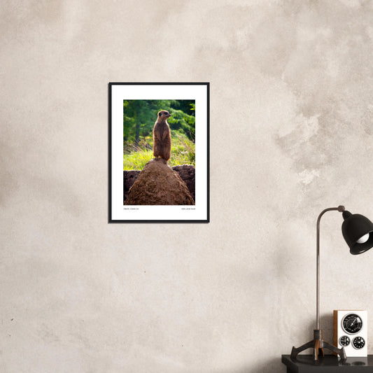 8e6c8cf4-0cab-4475-89fd-f6fbcf2f2b78