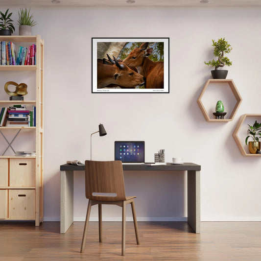 9aa59ce8-8c22-4e89-8686-ef36178619cb