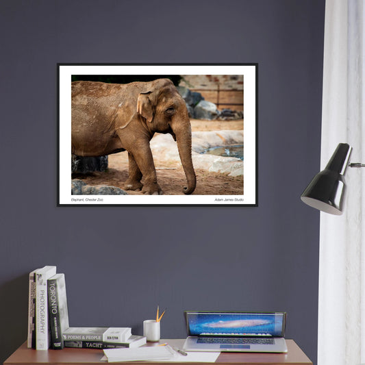 f95b86e8-e941-4ad2-b485-0e6d7eec88f4